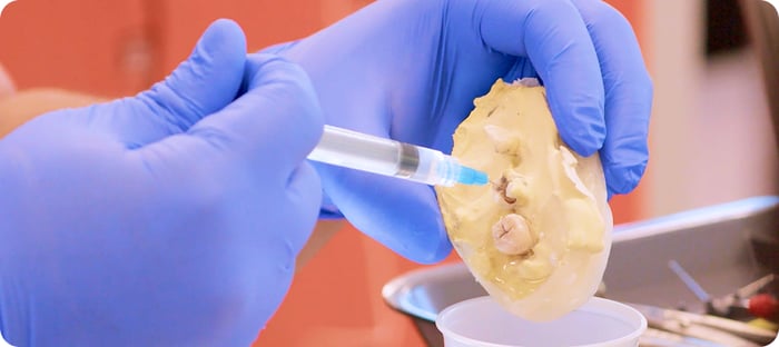Endo-Workshop