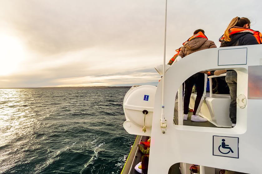 Summit-Event-Whale-Watching
